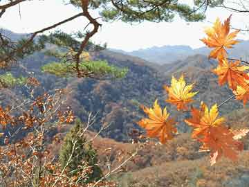 石门县洗涤厂,石门县洗涤厂电话号码
